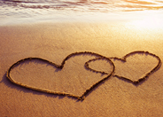 Love Partner Comparison report