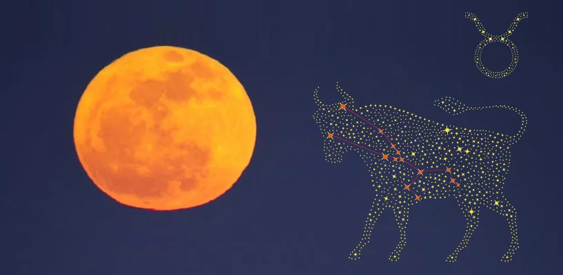 Full Moon in Taurus for the 12 Zodiac Signs