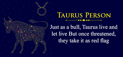 Taurus Person