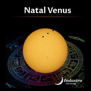 Natal Venus Report