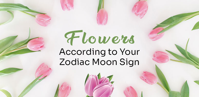 Flowers According to Your Zodiac Moon Sign