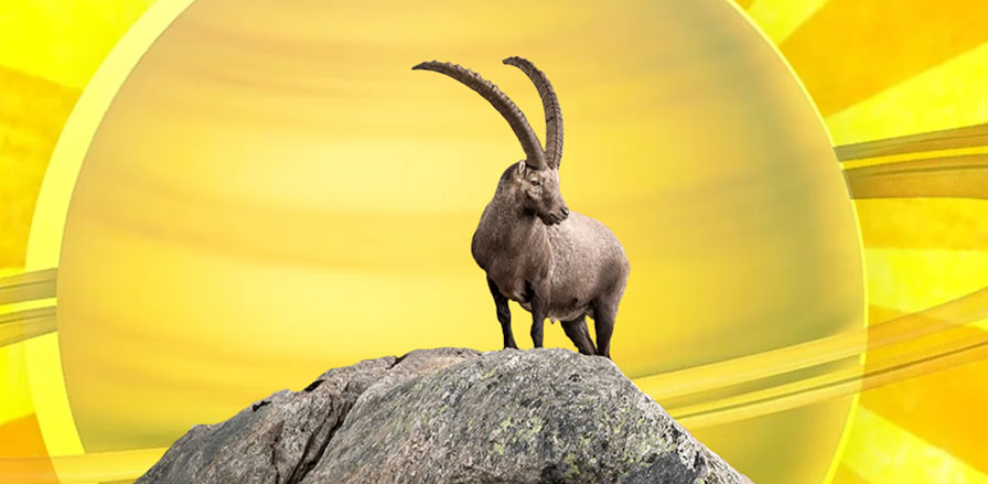 Sun Transits Capricorn, 14 Jan till 12 Feb 2025
