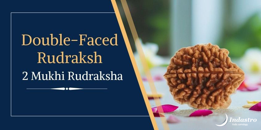 Double-faced Rudraksh (Two Mukhi Rudraksha)