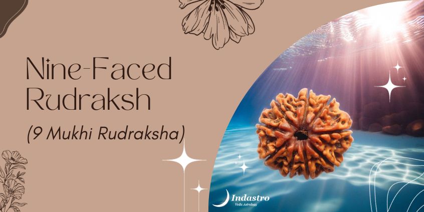 Nine-Faced Rudraksh (9 Mukhi Rudraksha)