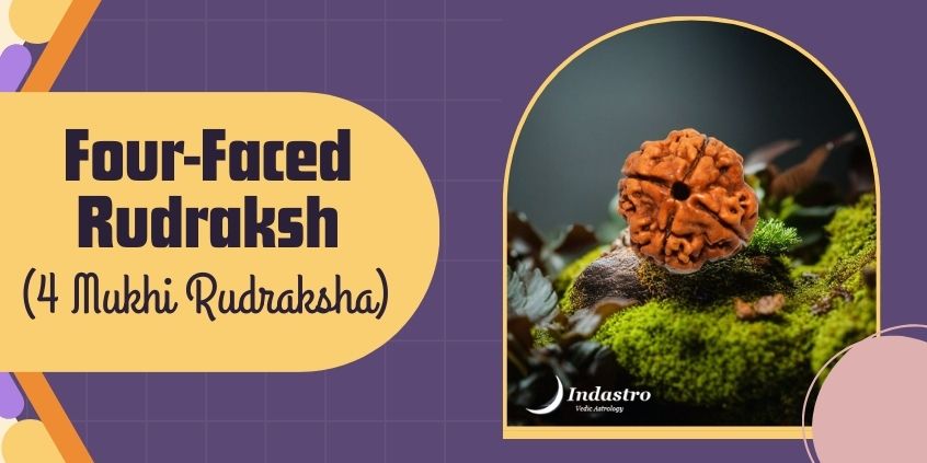 Four-Faced Rudraksh (Four Mukhi Rudraksha)