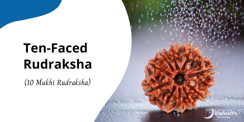 Ten-Faced Rudraksha (10 Mukhi Rudraksha)