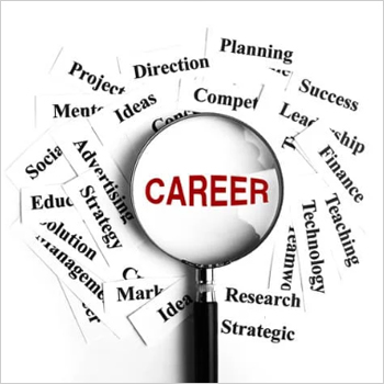 2025 Career report