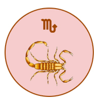 Scorpio August 2024 Horoscope