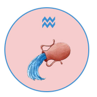 Aquarius August 2024 Horoscope