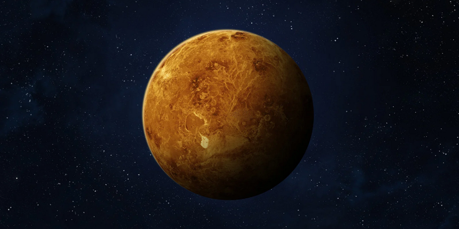 Venus in Dasamsa – Result of Venus in D10 in Various Houses