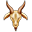 Capricorn