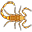 Scorpio