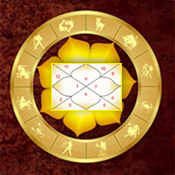 Indastro Lifetime Report